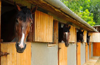 free Glan Y Llyn stable construction quotes